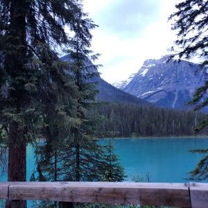 Meet your Posher, Liz